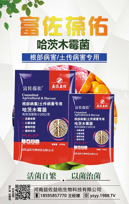 ���^����ʲô�I�B(y��ng)�r(ji��)ֵ�������^��ʲô��̎��