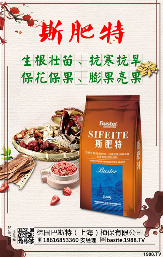 西瓜苗幾月份移栽,西瓜苗定植移栽技術(shù)及注意事項(xiàng)!