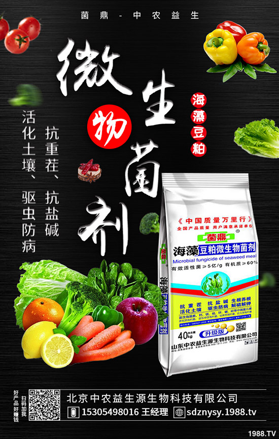     ���@�Ј����w���Fƽ�o��2020-5-12����������@�r�����������