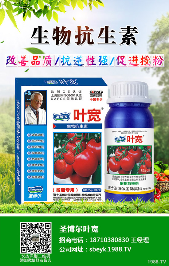 ���ﱡƤ���ԓ�����������Ƥ��ϸ߮a(ch��n)���༼�g(sh��)