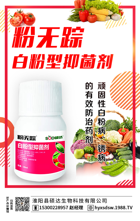 ������ô�Nֲ�������Nֲ���g(sh��)Ҫ�c��