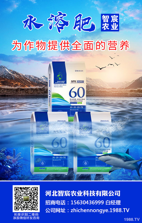 2020尿素價格要上漲!最新尿素行情走勢分析!