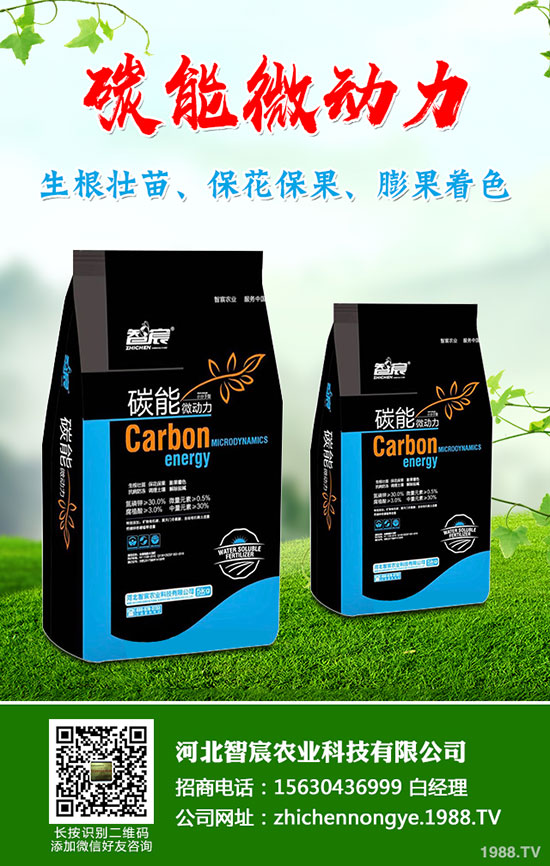 5��(gu��)��(n��i)�׷��Ј�(ch��ng)��ȥ�Ώ�������һ�@���@�r(ji��)�������߄�(sh��)�A(y��)�y(c��)��