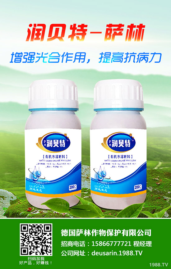 金桔樹怎么養(yǎng)?金桔樹的養(yǎng)殖方法和注意事項(xiàng)