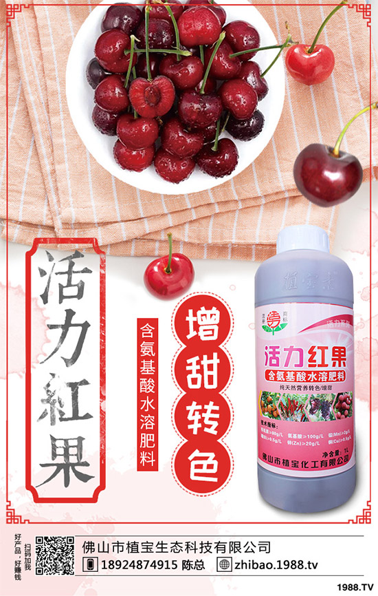     һ�@ӆ�����@�������������@�r�������Ո�