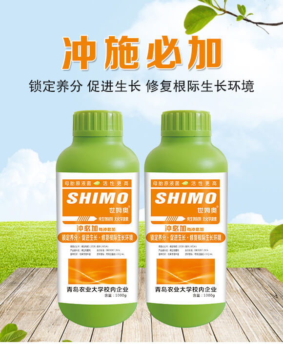 ΢�������-�_ʩ�ؼ�-��ķ�W-�����S_01