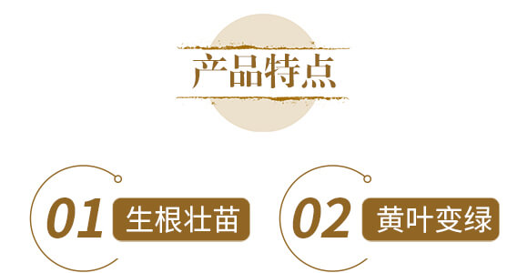 ��ˎ�ĠI�B(y��ng)���a(b��)-����ֲ��ˮ�ܷ�-�����r(n��ng)��_05