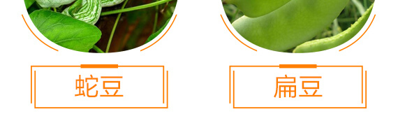 ���ǌ��ö�?ji��)M��-������-���r���_10