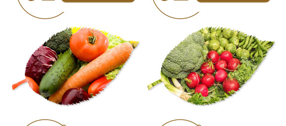 ��ˎ�����߮��w����-����ֲ��ˮ�ܷ�-�����r��_06