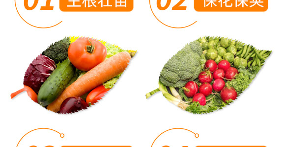 ���ǌ��ö�?ji��)M��-������-���r���_06