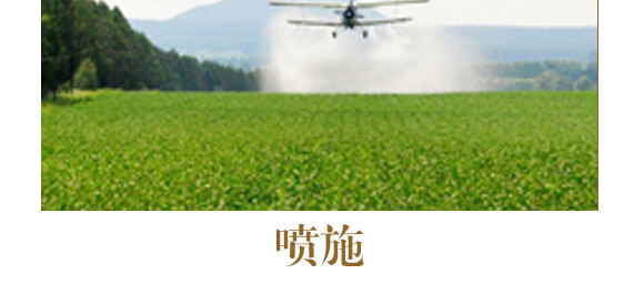 ��ˎ�����߮��w����-����ֲ��ˮ�ܷ�-�����r��_12