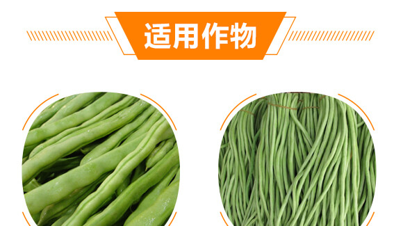 ���ǌ��ö�?ji��)M��-������-���r���_08