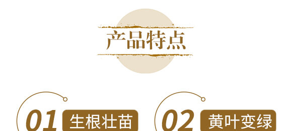 ��ˎ�����߮��w����-����ֲ��ˮ�ܷ�-�����r��_05