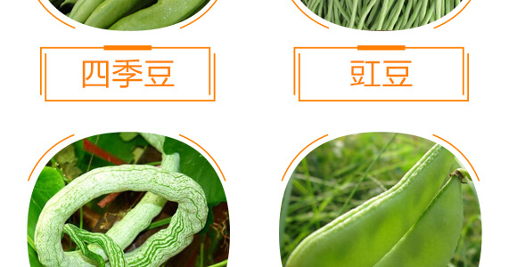 ���ǌ��ö�?ji��)M��-������-���r���_09