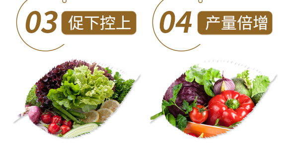 ��ˎ�����߮��w����-����ֲ��ˮ�ܷ�-�����r��_07