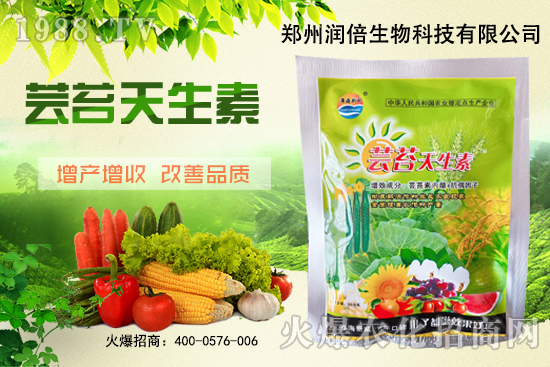 �S�B������ô�������S�B���ڲ��x��������