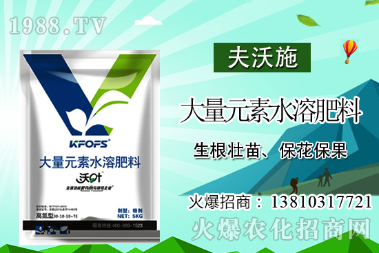 �������ʲô�I(y��ng)�B(y��ng)������ӵĹ�Ч�c���ã�