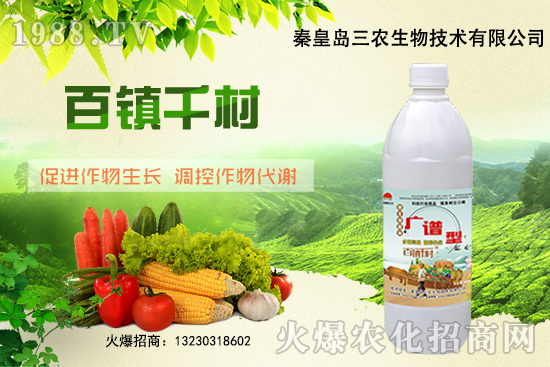 ���؃r(ji��)��