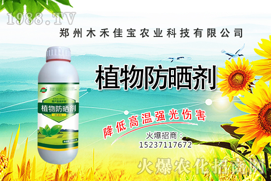 ������Nֲ����Ҫ�c(di��n)����Щ�����������Է�����