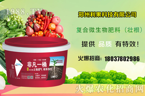 2020��Nֲ����ٍ�X�᣿�Nֲǰ�����������һ���خa(ch��n)���ж��٣�