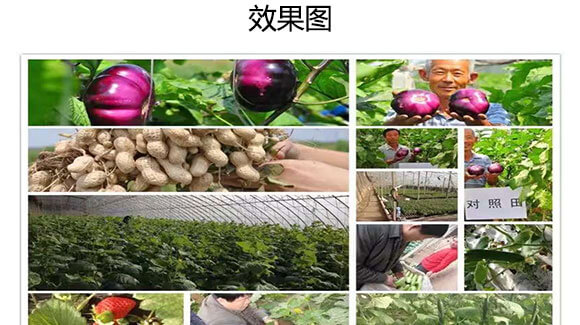 �VԴ�S�����-�W˹�D_07