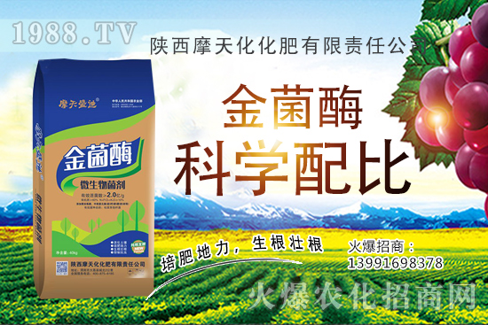 �Nһ���O���ĳɱ��Ƕ������ж����������O���Nֲ���g(sh��)�c������