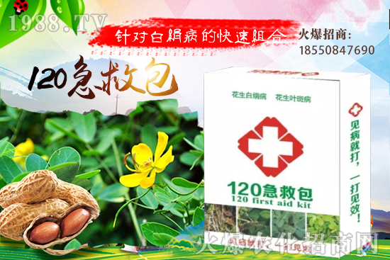 �ȹ����緽������Щ���ȹ���ô���Զ�ֲ��