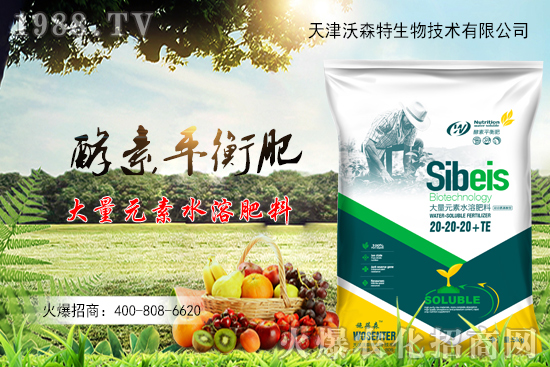 ���׵���