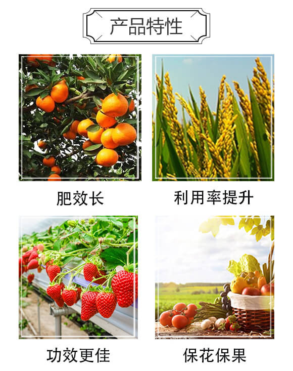 ���ȩ��(f��)�Ϸ���25-20-6-������_03