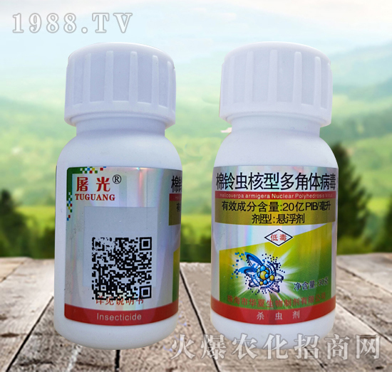 ����x���Ͷ���w������ʲô�x��Ч����ô������ô�x����