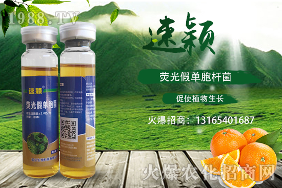 ���ٝ�����Σ��һ���һ���(y��n)�������ٝ�������η�����