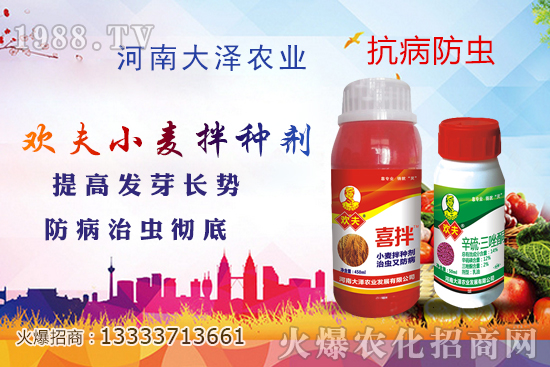 С����N����Ҋ��������Щ������x��С����N����