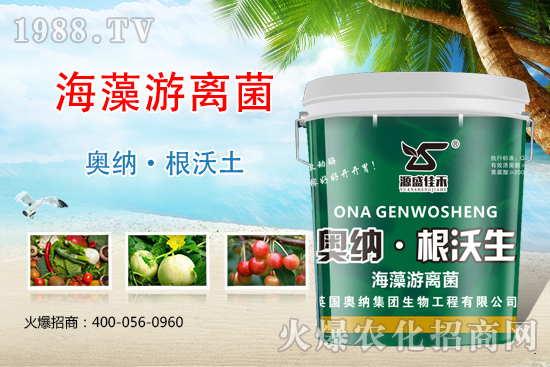 ���ӱ��W�{����Ʒ���u��������������o����ע��I�B(y��ng)�·�����