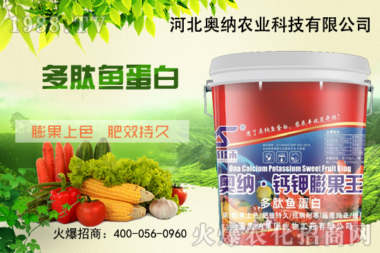 ���ӱ��W�{����Ʒ���u��������������o����ע��I�B(y��ng)�·�����