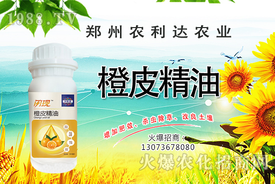 ��Ƥ�������˽���٣���Ƥ������ʲô��������ô�x��Ƥ���ͣ�