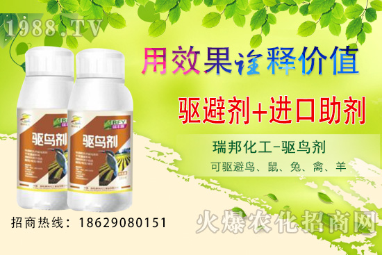 夏季果園鳥類猖獗，以下方法超乎你想象！果園驅(qū)鳥攻略！