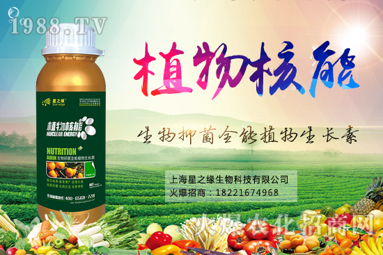 雨后病蟲害防治