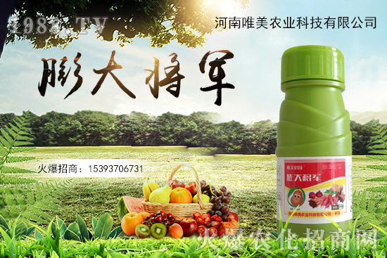 果實(shí)膨果慢、果實(shí)小怎么解決?果實(shí)膨果肥的選擇有哪些?