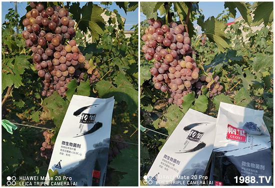 好產(chǎn)品好作用,“一璽生物”微生物菌劑“幗璽”客戶真實反饋!