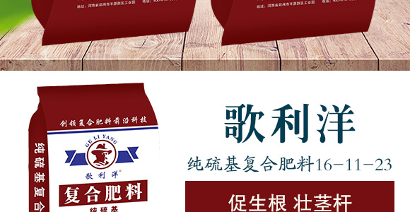 �������(f��)�Ϸ���16-11-23-������_03