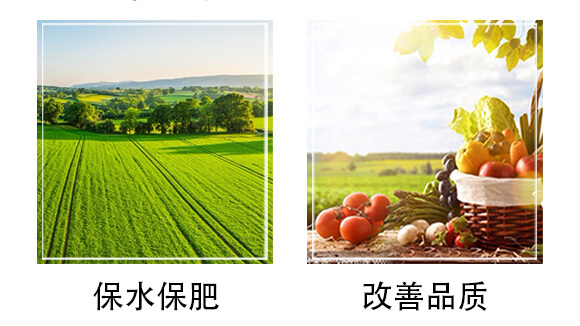 ��(f��)�Ϸ���25-14-6-������_06