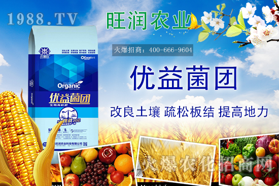 �����ЙC(j��)����ʲô�ʣ������ЙC(j��)�ʵă�(y��u)�ݣ��c�������ϵą^(q��)�e��