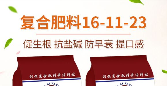 �������(f��)�Ϸ���16-11-23-������_01