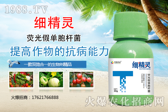 �����r(sh��)��̩��ô���������r(sh��)��̩��Ҫ�a(ch��n)Ʒ����Щ��