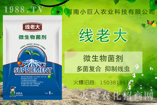 ���Y(ji��)���xզ���������Y(ji��)���x����-�����ϴ󡱶����(f��)�������ƾ��x��