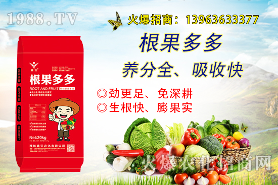 �����������������ô�k����������ࡱ����̽������(sh��)����������B��