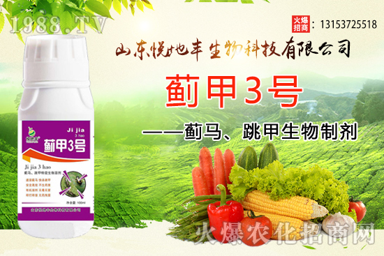 �E�R�����׷�����(f��)��(f��)̫�y�����E�R�����������Ƅ��p�ط��β��ó���