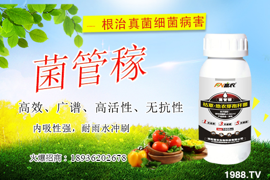 ����(sh��)����Σ����ʲô������(sh��)���������Ά�������ˎ������Щ��