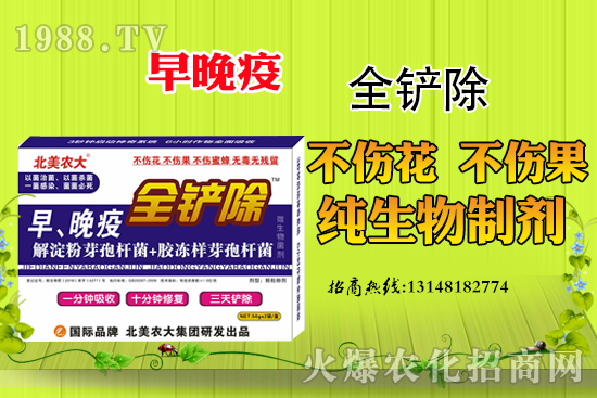 ������Σ����(y��n)���������߷��δ�ʩ����Щ��