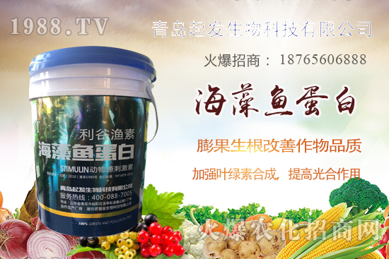 �߲˶�ֲ��ξ���죿�߲������`�^(q��)����Щ���߲�������������]��